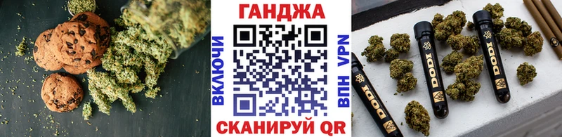 Купить где  Оренбург  Canna-Cookies конопля 